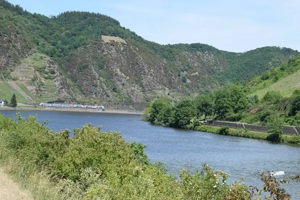 Dağlardaki nehrin manzarası.