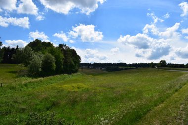 Mavi gökyüzünde bir ağacı olan güzel bir manzara