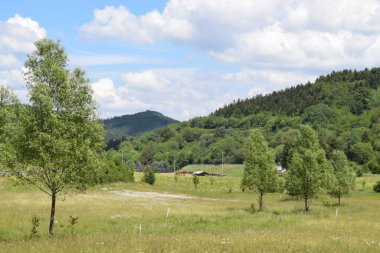 Yaz günü bir ormanın kenarındaki dağdan manzara