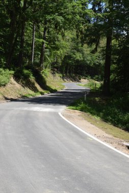 Kırsalda boş bir yol