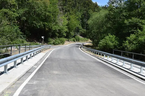 Nehir üzerindeki ahşap bir köprünün dikey görüntüsü. Güneş ışığı altında yeşilliklerle çevrili.
