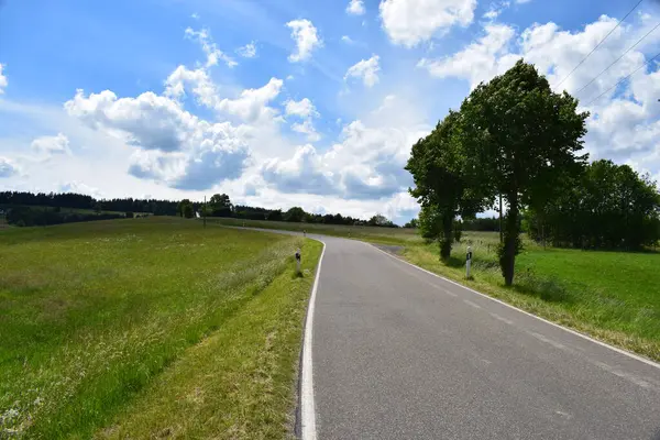 Ağacı ve yolu olan güzel bir manzara.