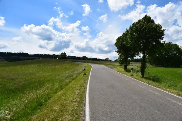 Ormandaki yeşil yolun güzel bir görüntüsü.