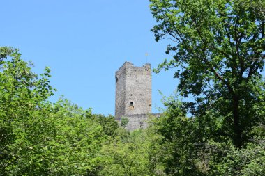 Ortaçağ Şatosu Ormanın ortasında