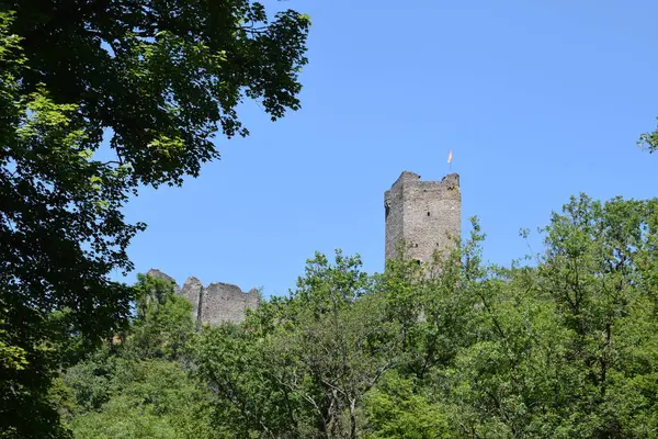 Ortaçağ Şatosu Ormanın ortasında