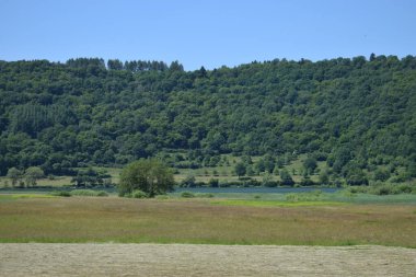 Meerfelder Maar 'daki doğa manzarası çok güzel.