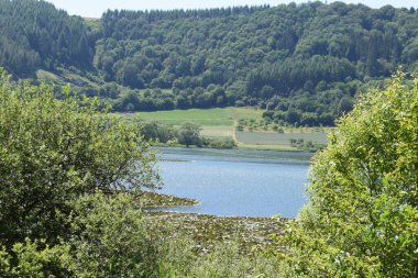 Meerfelder Maar Ormanda