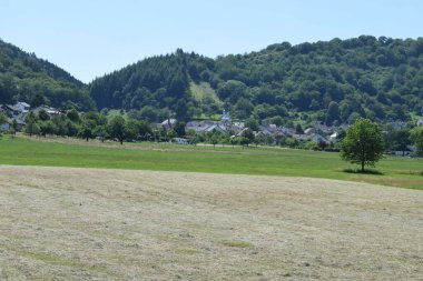 Doğanın güzel manzarası