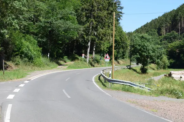 Yeşil bir ormanda yol.