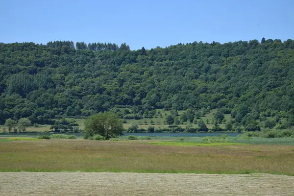 Meerfelder Maar 'daki doğa manzarası çok güzel.
