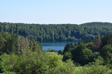 Ormandaki göl manzarası