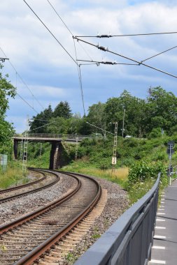 Ormanda demiryolu rayları