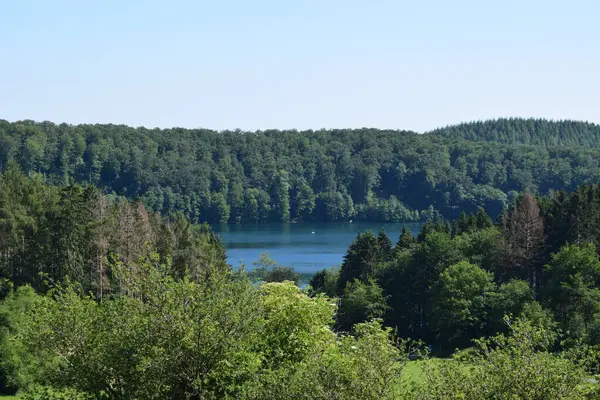 Ormandaki göl manzarası