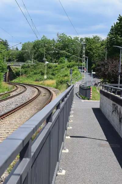 Ormanda demiryolu rayları