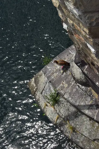 Taş duvar ve merdiven