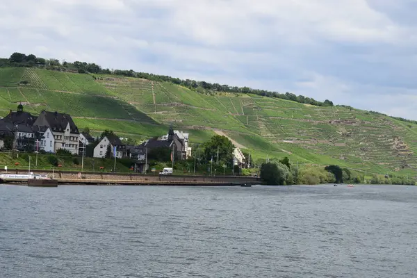 Winningen 'deki Moselle ve üzüm bağları.