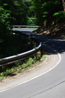 Parkın güzel manzarası.