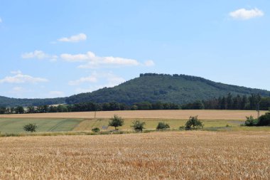 Tepeleri ve ağaçları olan bir manzara.