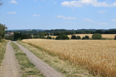 Kırsal yolun manzarası