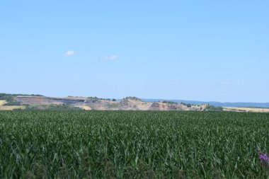 Tarladaki manzara çok güzel.