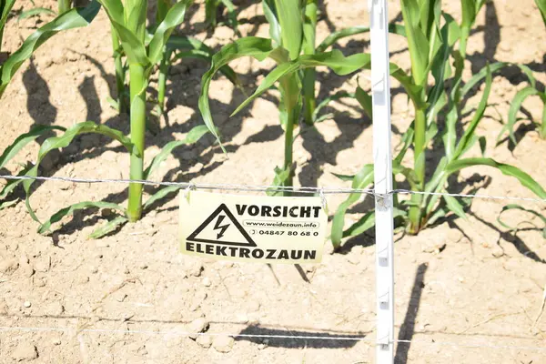 Alan arkaplanındaki yazıyı imzalayın.