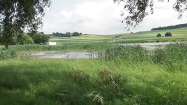 Eifel 'de vahşi hayvanlarla dolu bataklık.