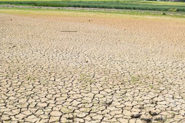 Tarlada kuru toprak, Tayland