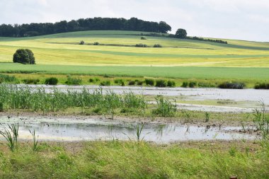 Arka planda bir nehir olan güzel bir manzara.