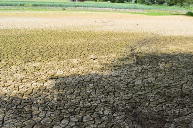 Bir tarlada kuraklık ve çatlamış toprak