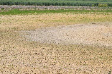 Çölde çatlamış toprak. kuraklık.