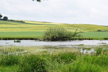Güzel bir nehir manzarası.