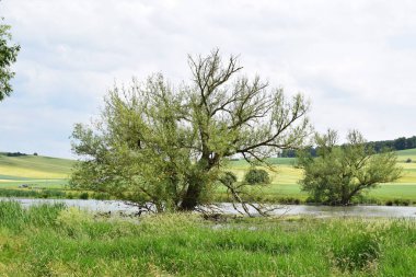 Alman kırsalında yaz mevsimi