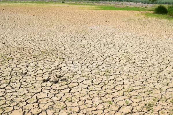 Toprağı kuru topraklarda çatlattı, küresel ısınma