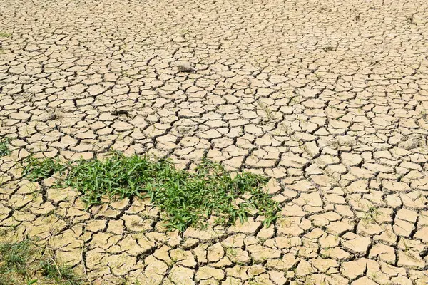 Kuru çatlamış toprak arkaplanı