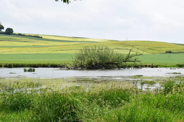 Güzel bir nehir manzarası.
