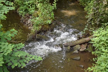 Ormanda küçük bir nehir..
