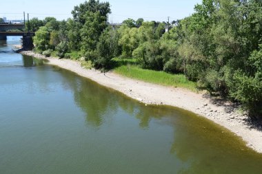 Kuraklık sırasında Koblenz 'de alçak Mosel kıyıları