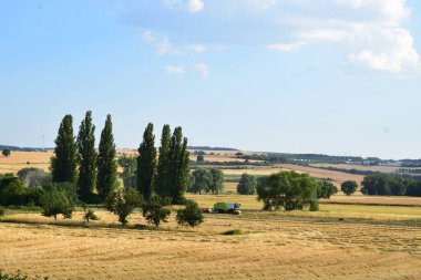 Büyük bir buğday tarlası, ağaçlar ve mavi gökyüzü olan kırsal alan.