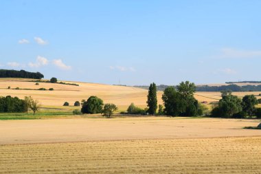 Kırsal alanda tarlalar ve mavi gökyüzü arka planda