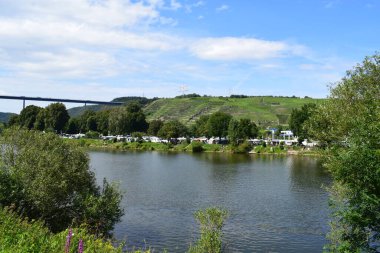 Üzüm bağlarının altında kamp alanı olan Mosel Vadisi