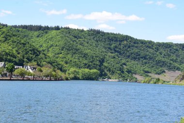 Baharda Mosel nehrinin manzarası