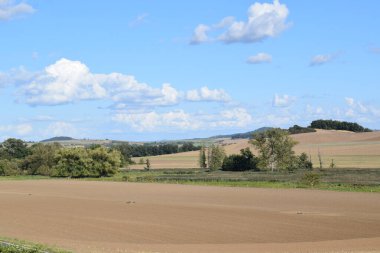 Bir tarlası ve mavi gökyüzü olan manzara