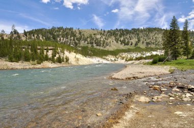 Yellowstone Ulusal Parkı 'nda manzara nehri