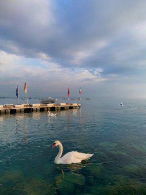 Martı Garda Gölü üzerinde uçuyor.