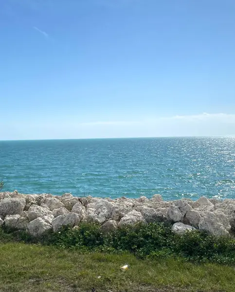 Kayaları olan çimenli bir kıyı şeridi berrak bir gökyüzünün altında parlak mavi bir okyanusa bakar..
