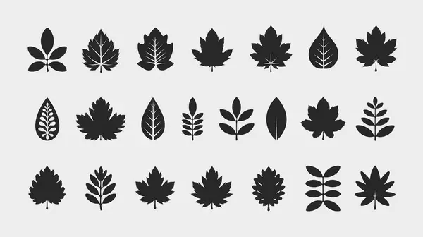 Siluet yaprak simgesi tasarımı illüstrasyonu 