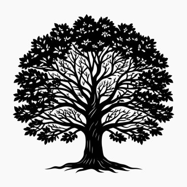 Çizim silueti soyut büyük meşe ağacı ve kök tasarımı
