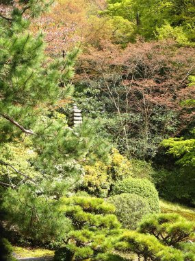 Japon tapınağındaki bahçe