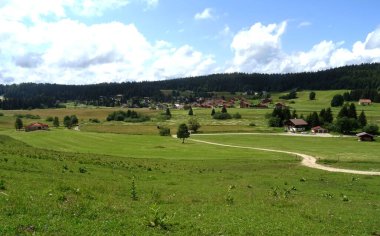 Fransa 'daki Yüksek Jura' nın manzarası                      