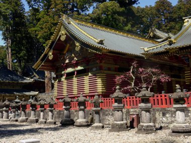 Toshogu tapınağı, Kamijinko, Japonya                               